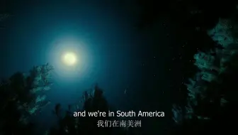 中英文字幕《恐龙 巴塔哥尼亚的巨兽 Dinosaurs Giants of Patagonia》