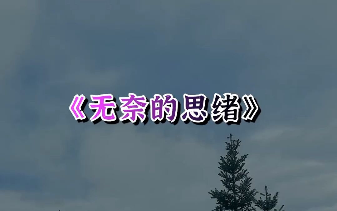 风不停吹过去,雨洒落我心底.只有平添 无奈的思绪哔哩哔哩bilibili