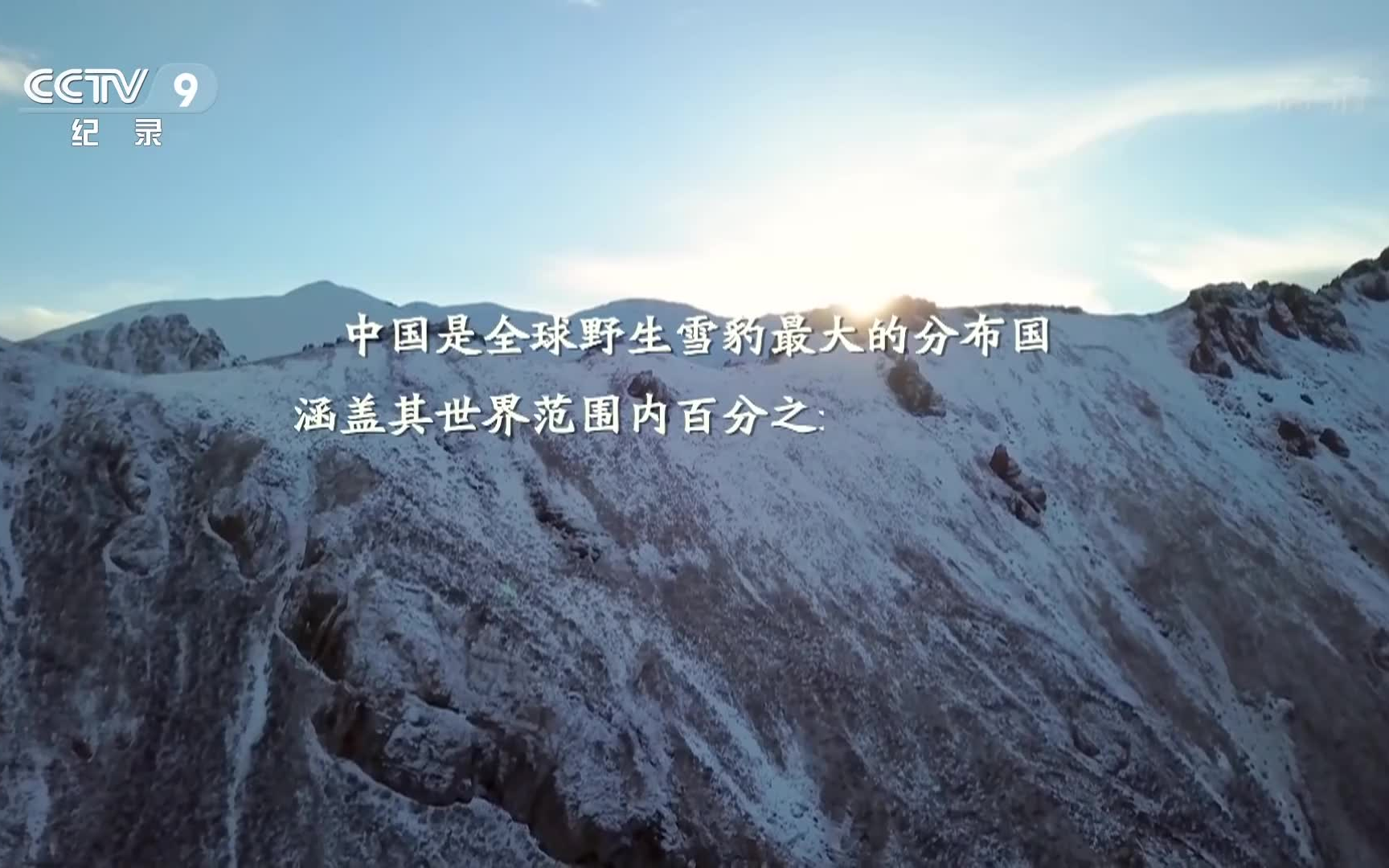 【纪录片】《雪豹的冰封王国》The Frozen Kingdom Of The Snow Leopard | 呈现野生雪豹罕为人知的自然状态哔哩哔哩bilibili