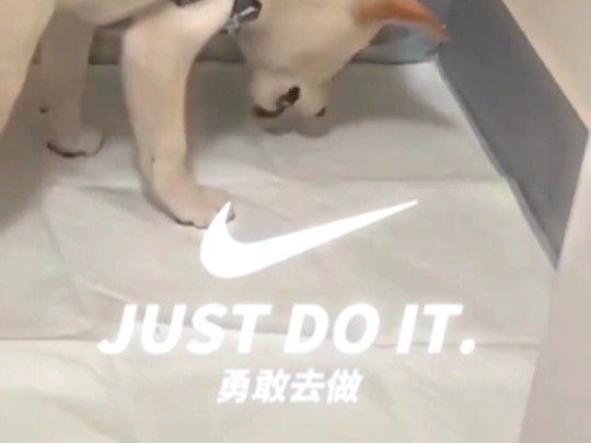 勇敢去做justdoit
