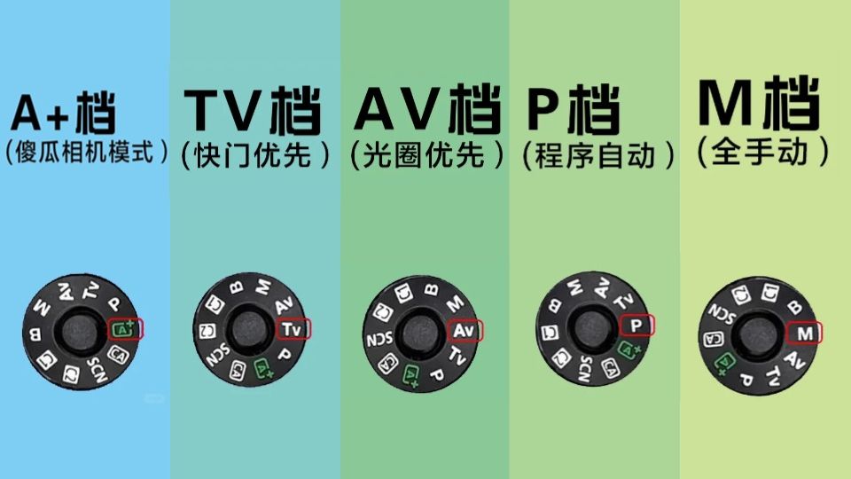 【零基础学摄影】P、A、S、M、B这些相机档位都是什么意思?该怎么用?摄影基础必修课哔哩哔哩bilibili