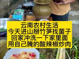 Tải video: 云南农村生活今天进山掰竹笋找菌子回家冲洗一下家里面用自己腌的酸辣椒炒肉