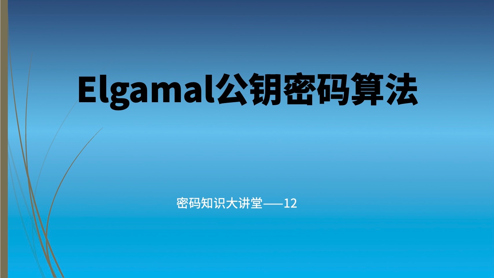 Elgamal公钥密码算法哔哩哔哩bilibili