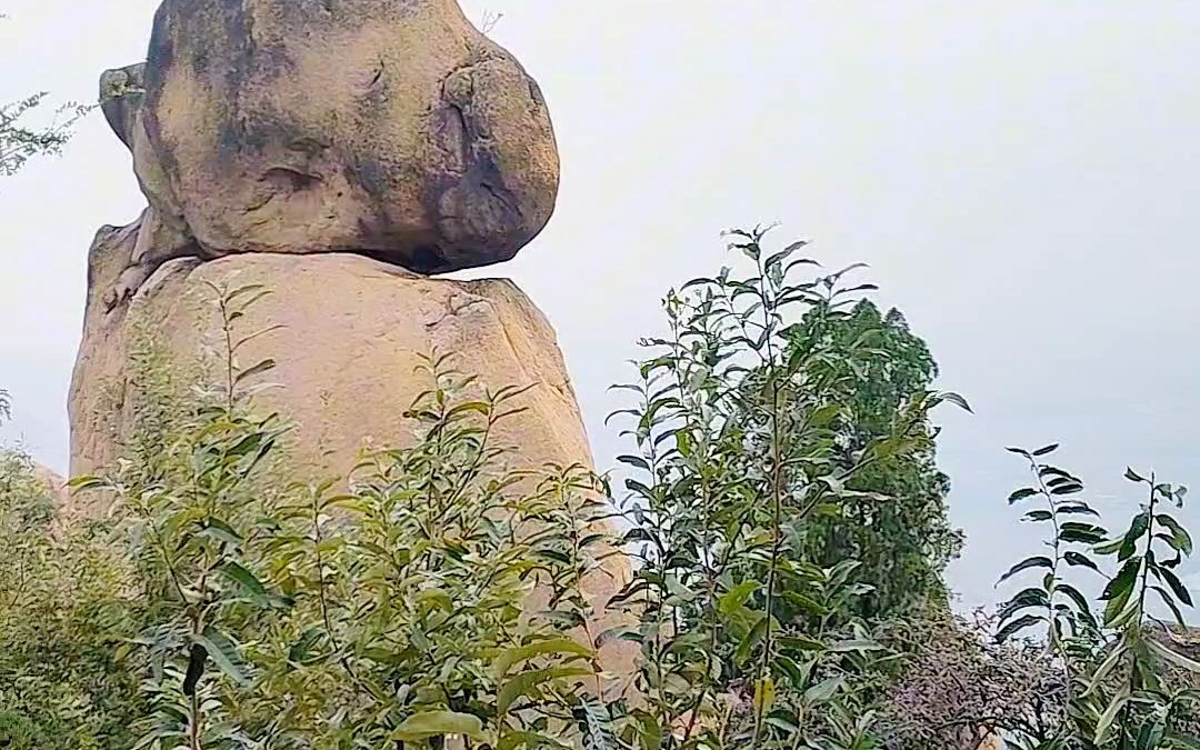 六小龄童来到嵖岈山,为何称这个石猴是猴子的祖先?