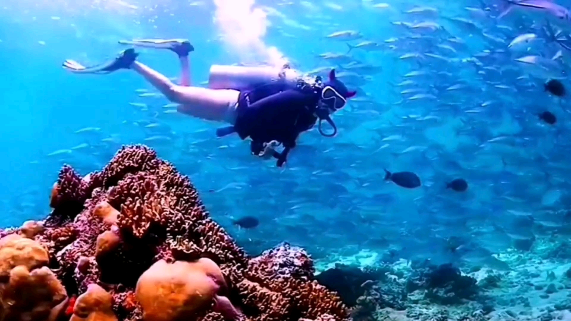 凤凰岛水上项目潜水