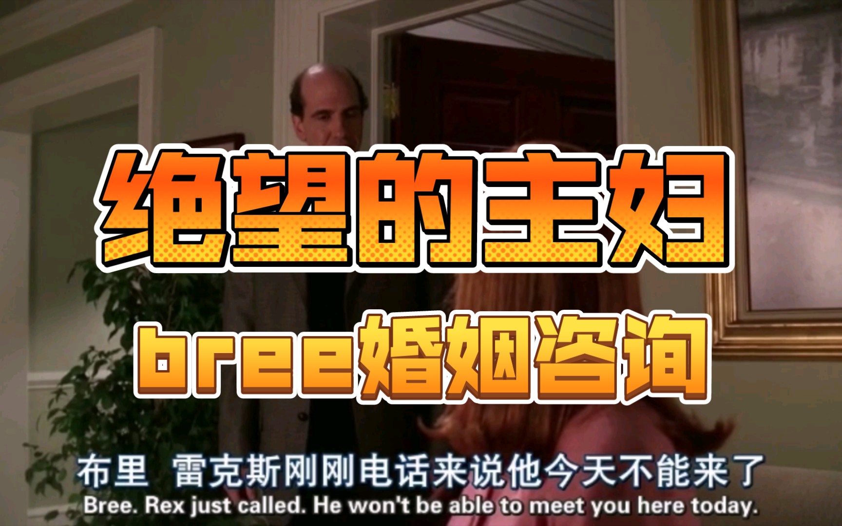 绝望的主妇第一季 bree婚姻咨询2