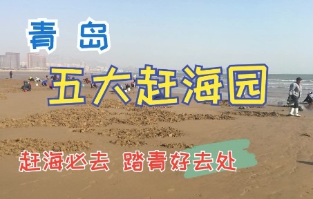 [图]青岛 五大 赶海园，赶海必去、踏青好去处（ 青岛旅行小攻略 ) 。。。