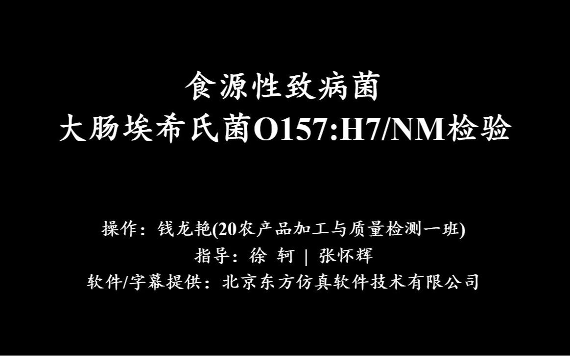 虚拟仿真 | 食源性致病菌大肠埃希氏菌O157:H7/NM检验哔哩哔哩bilibili