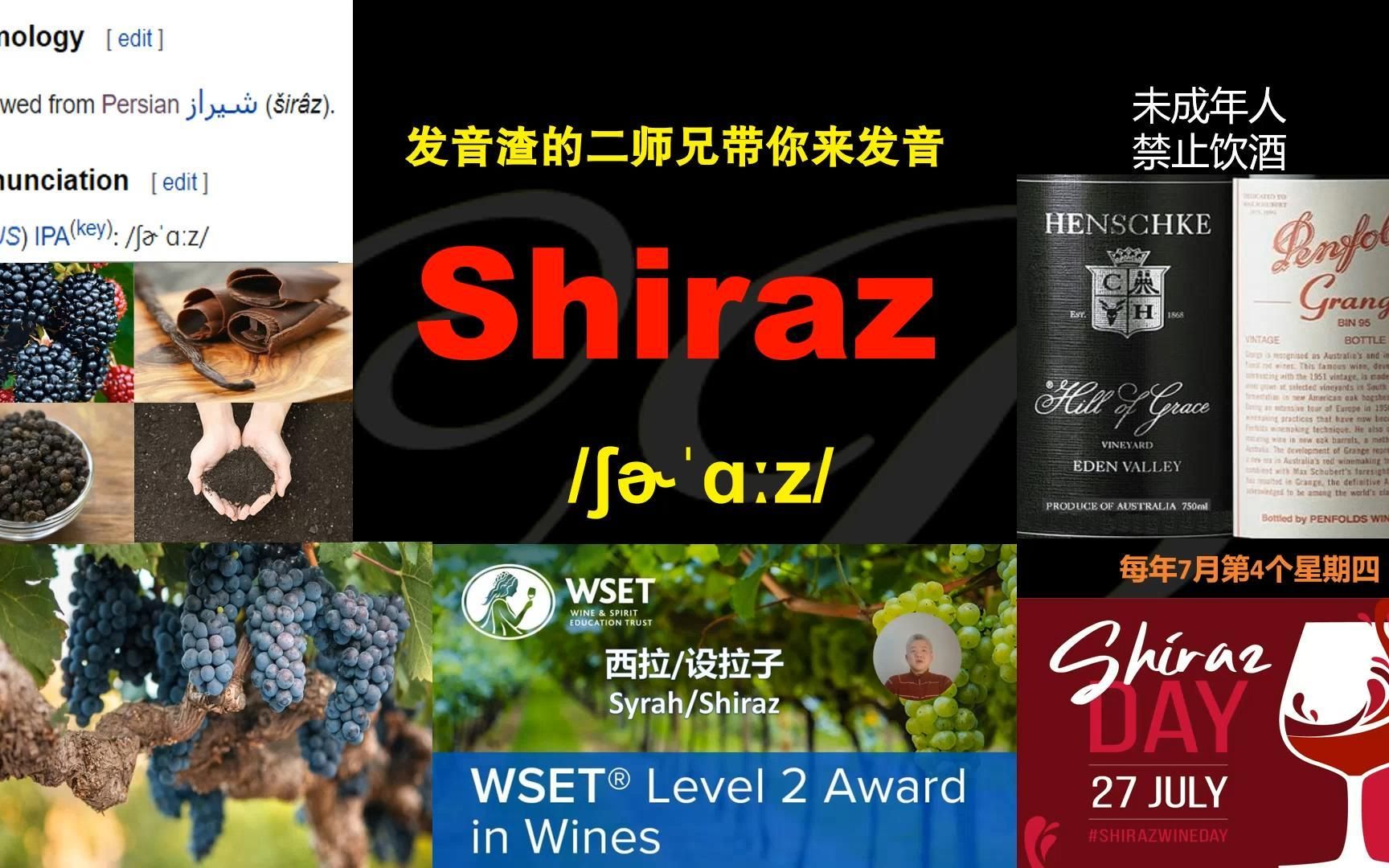 如何用土澳口音发Shiraz——一个葡萄品种两个节日哔哩哔哩bilibili