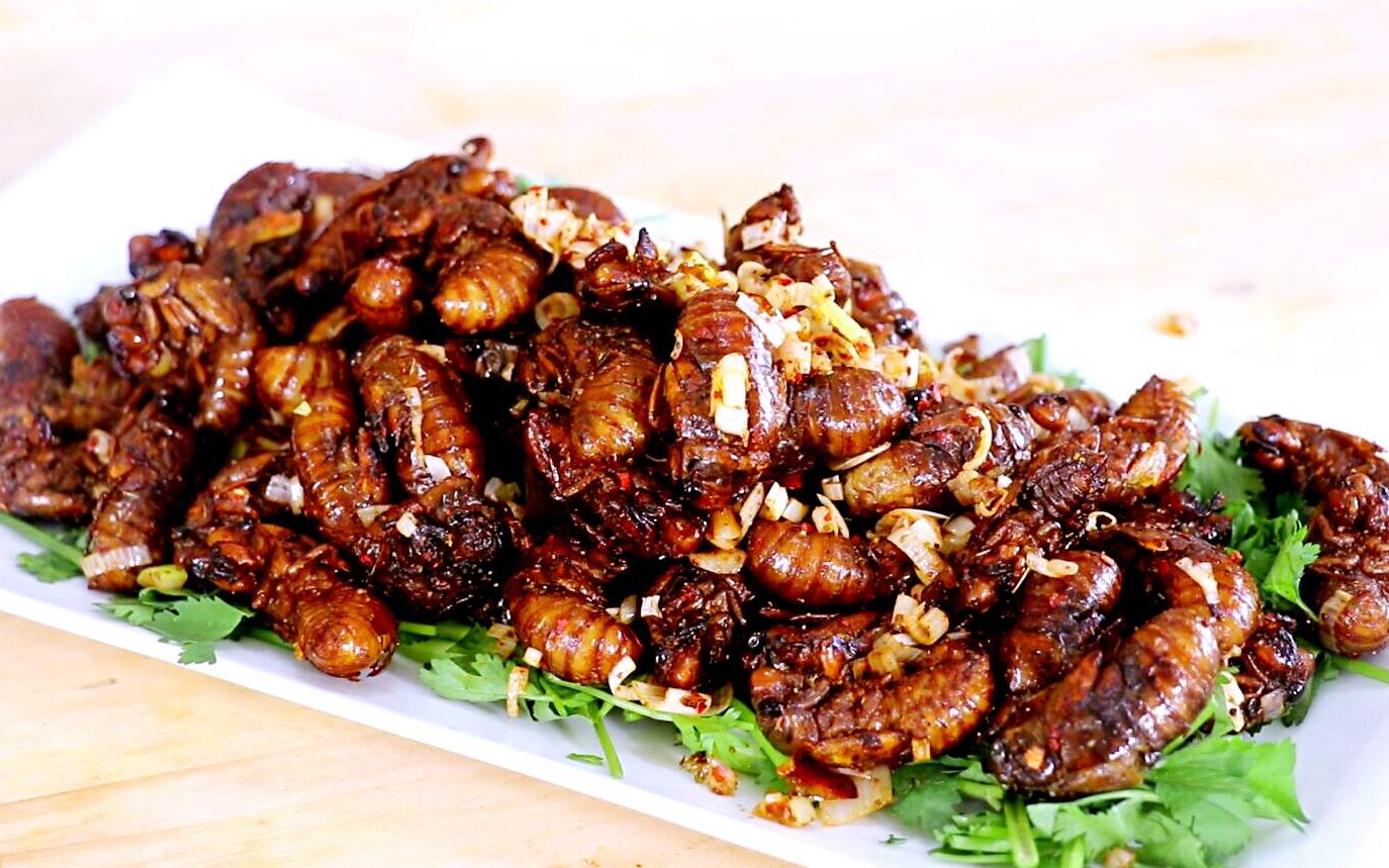 教你做香酥金蝉,一口一个越嚼越香!