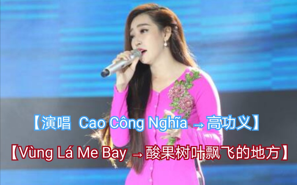 [图]【越南歌曲】【演唱 Cao Công Nghĩa →高功义】【曲名 Vùng Lá Me Bay →酸果树叶飘飞的地方】2017年11月27日发布