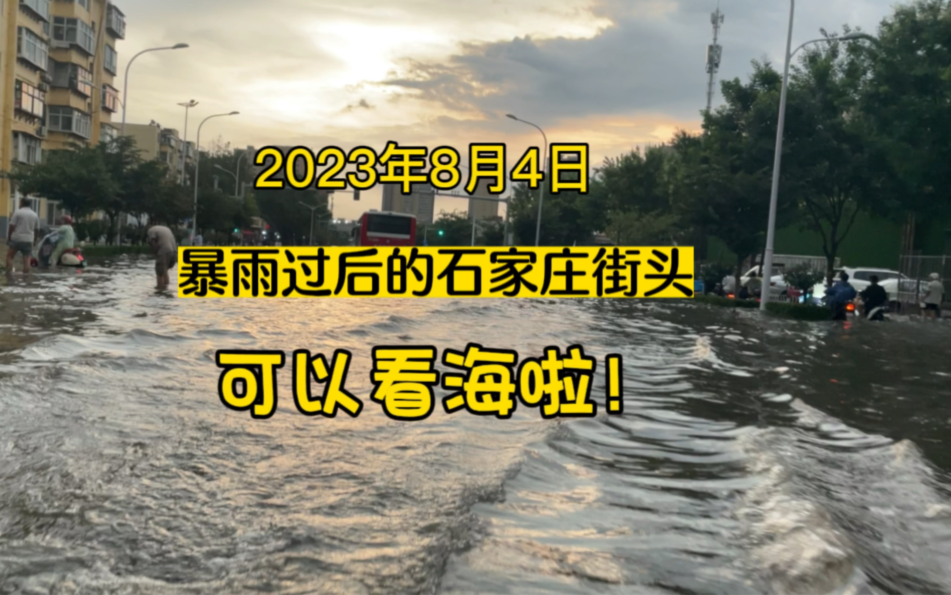 石家庄暴雨过后街头开启看海模式哔哩哔哩bilibili