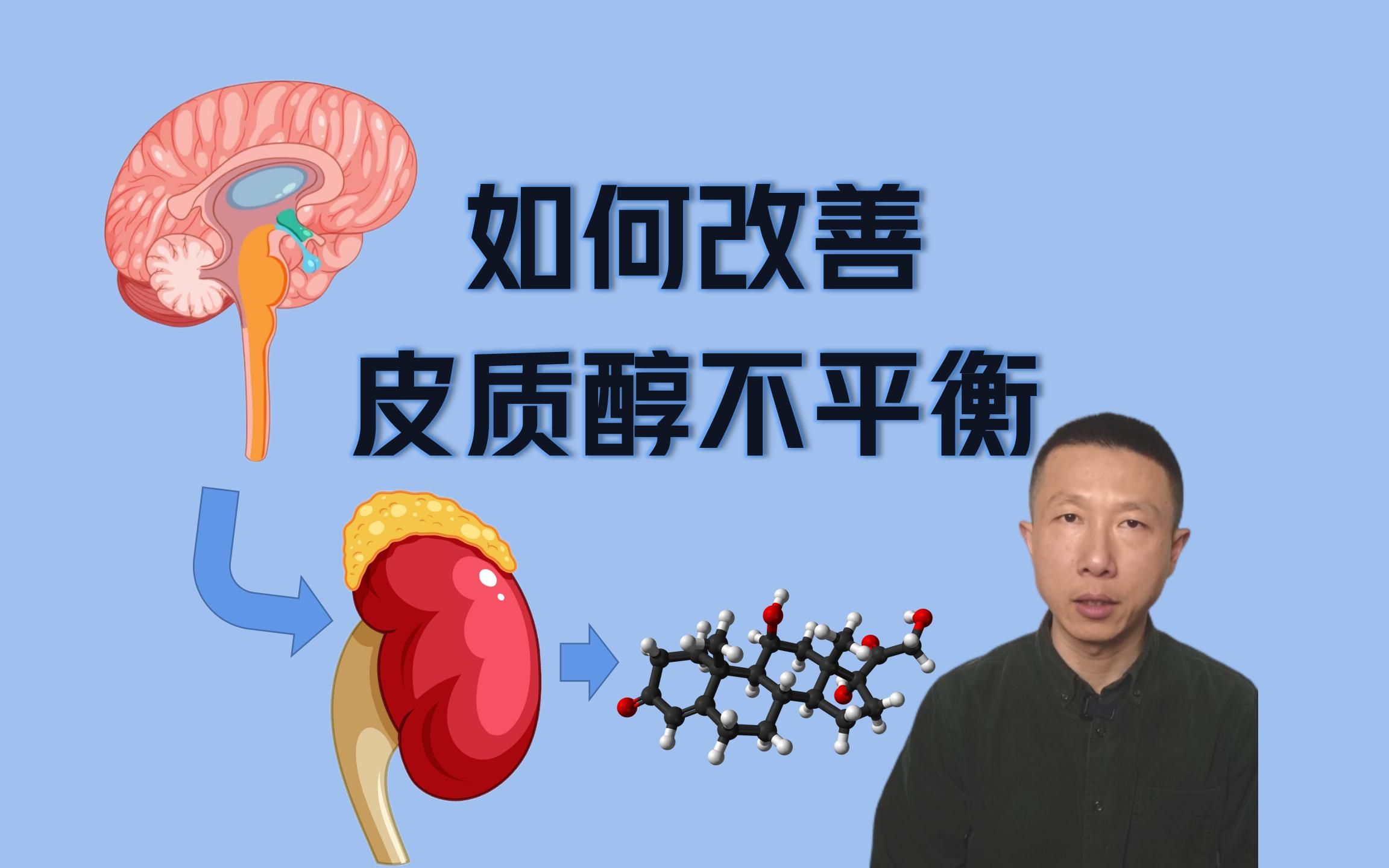 如何改善皮质醇不平衡(皮质醇如何影响其他激素)哔哩哔哩bilibili