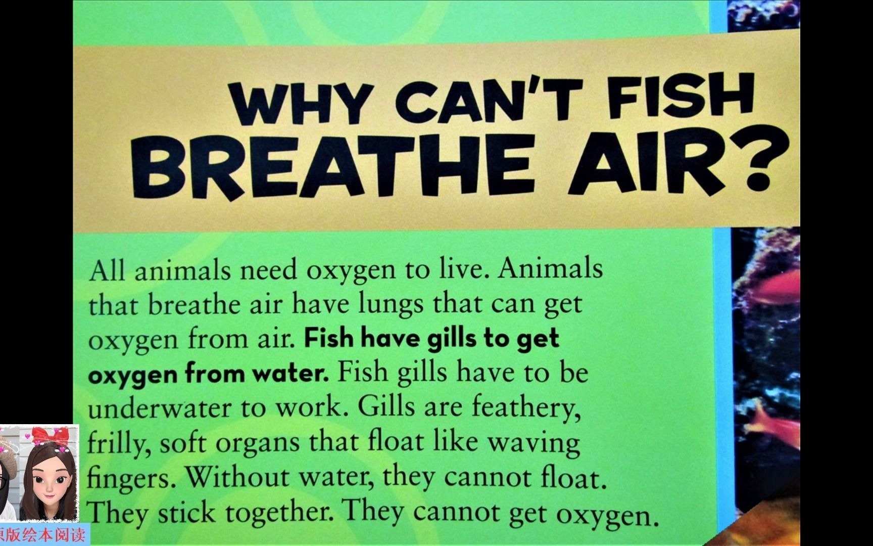 《美国国家地理儿童百科: 为什么》: Why can't fish breathe air? 为什么鱼不能呼吸空气?哔哩哔哩bilibili