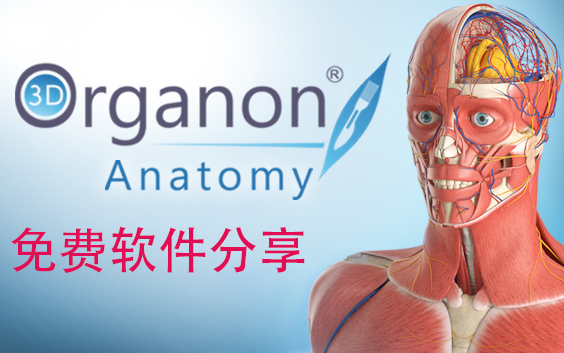 [图]3D Organon Anatomy——三维解剖软件【永久免费版本】