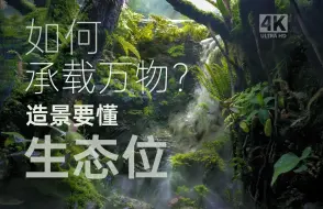 Download Video: 如何利用生态位差异承载动植物【每个生态景观都是一首自然的赞歌】