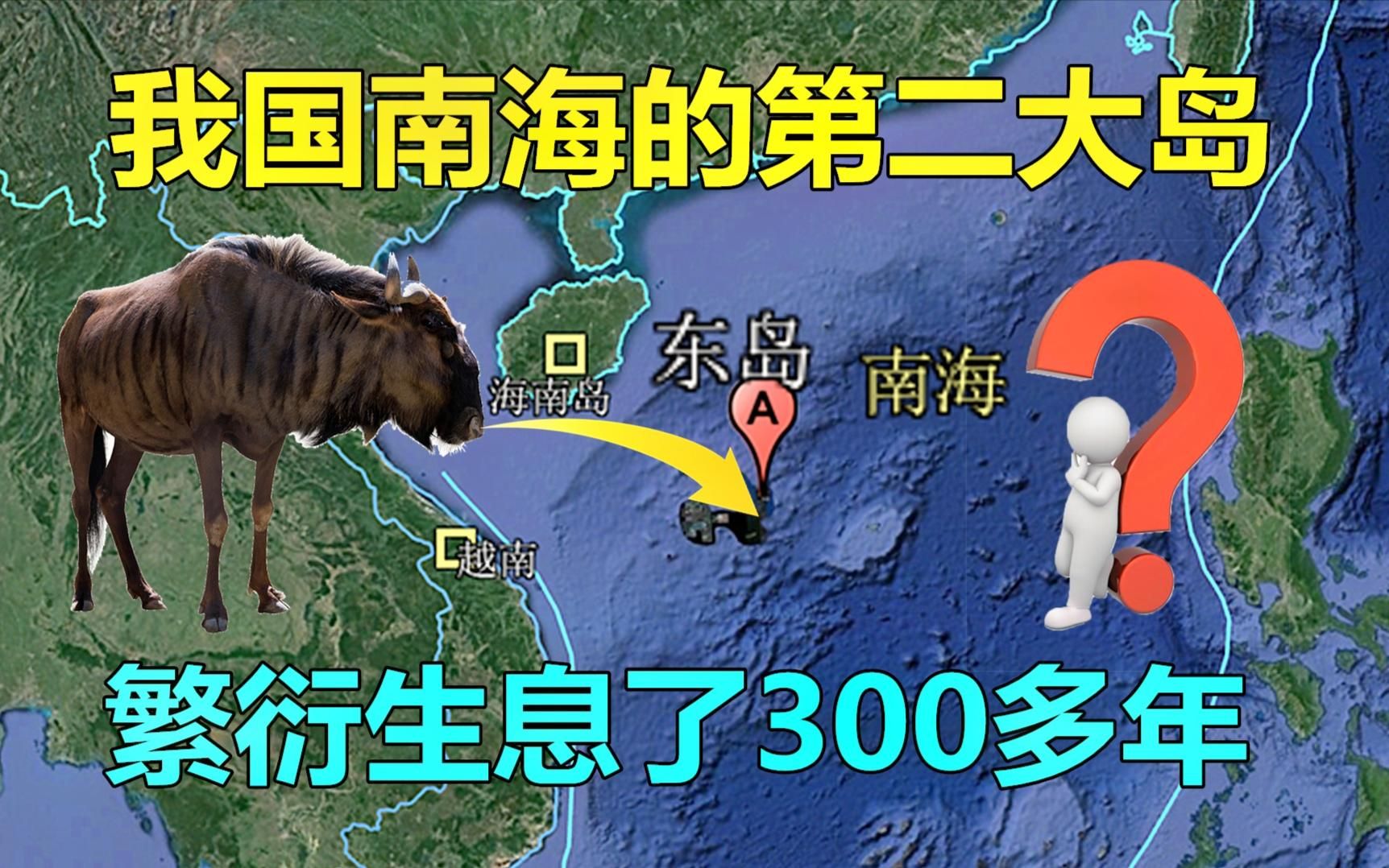 我国南海的第二大岛,岛上居然有野牛群,还繁衍生息了300多年?哔哩哔哩bilibili