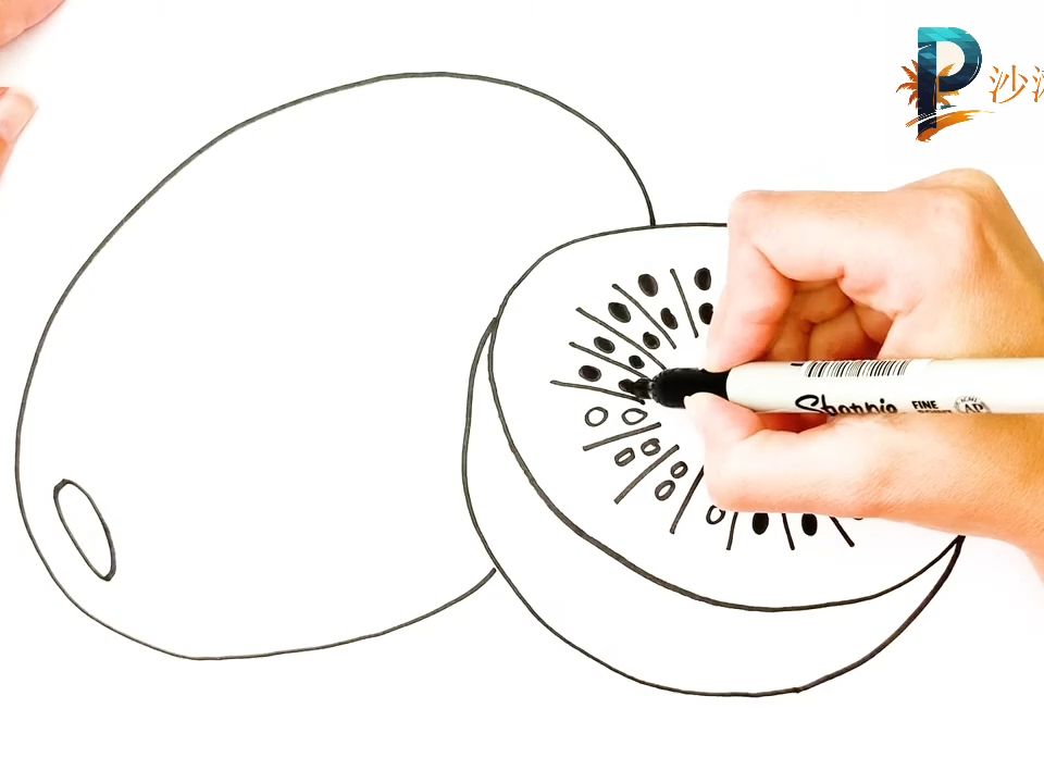 零基础简笔画-奇异果