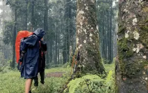 Download Video: 沉浸式解压雨天露营助眠