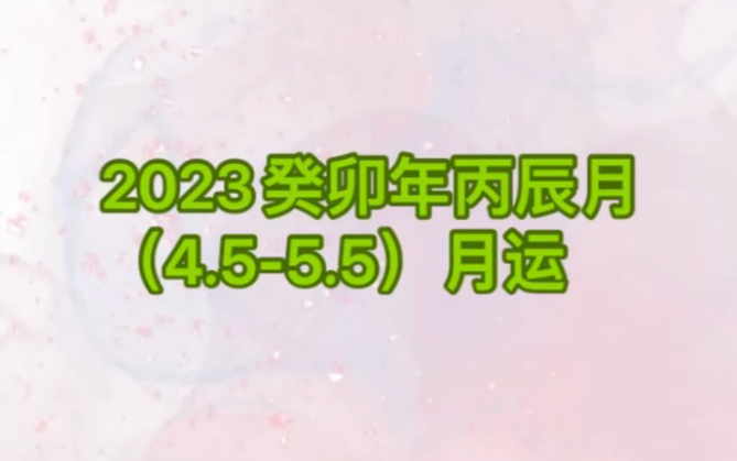 2023癸卯年丙辰月(4.55.5)月运哔哩哔哩bilibili