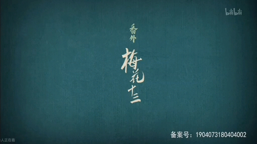 来看看梅花十三吧