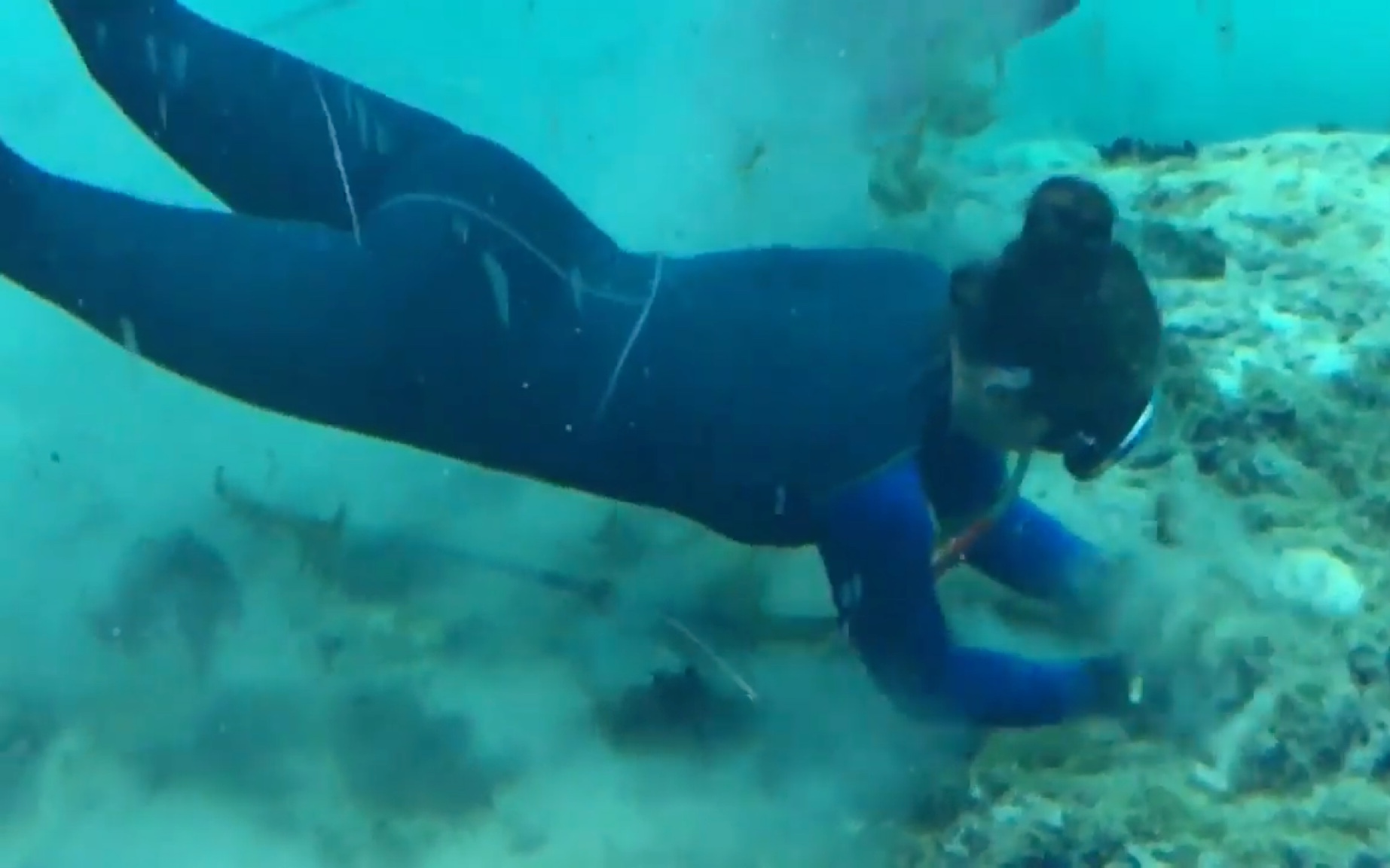 [图]Weeki Wachee水族馆 潜水员清理水池底部垃圾