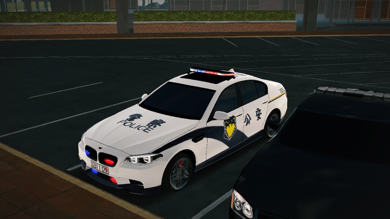 china police car展示