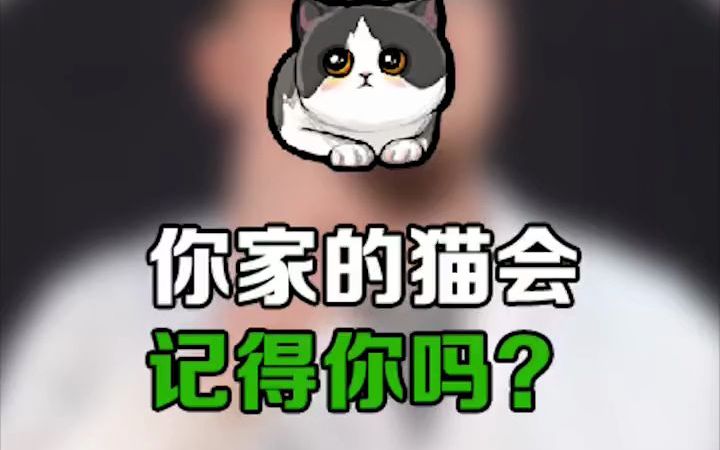 【猫咪品种科普】你家的猫会记得你吗?告诉你关于猫咪的记忆哔哩哔哩bilibili