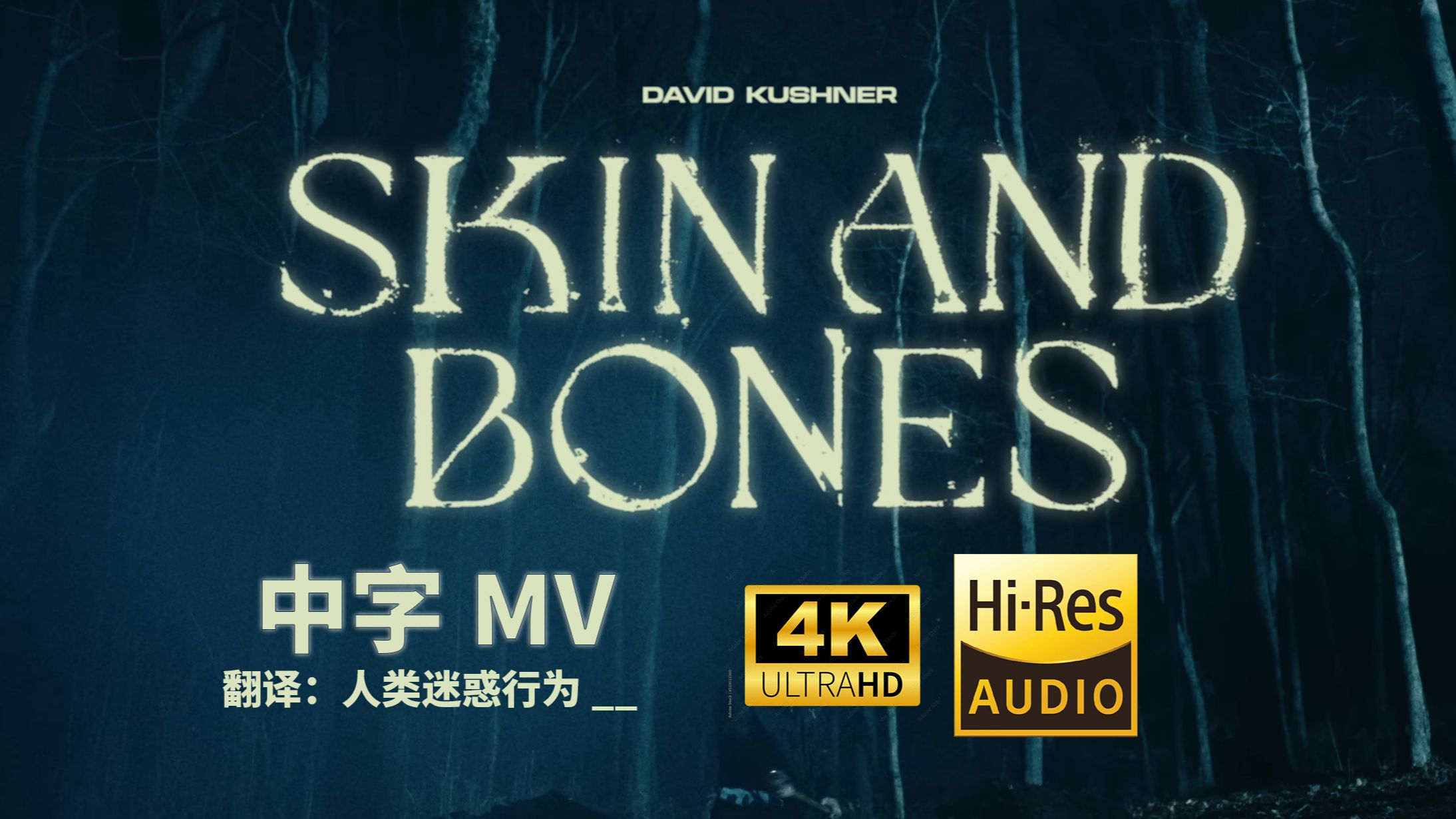 ＂销铄肌肤中的失控之恋＂ | Skin and Bones  David Kushner [中英双语/中字MV/HiRes]哔哩哔哩bilibili