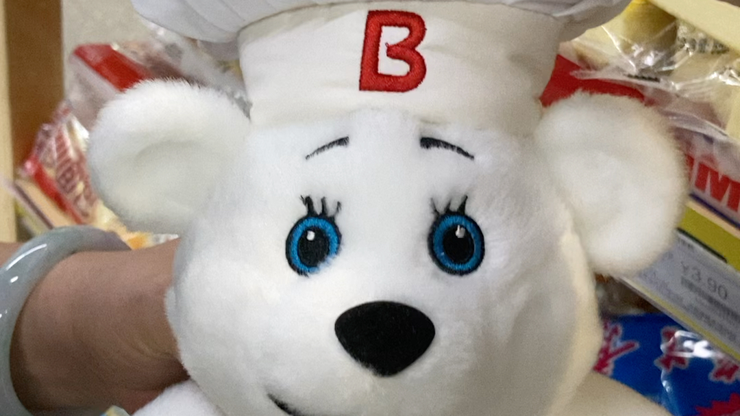 宾堡熊有点东西_哔哩哔哩_bilibili