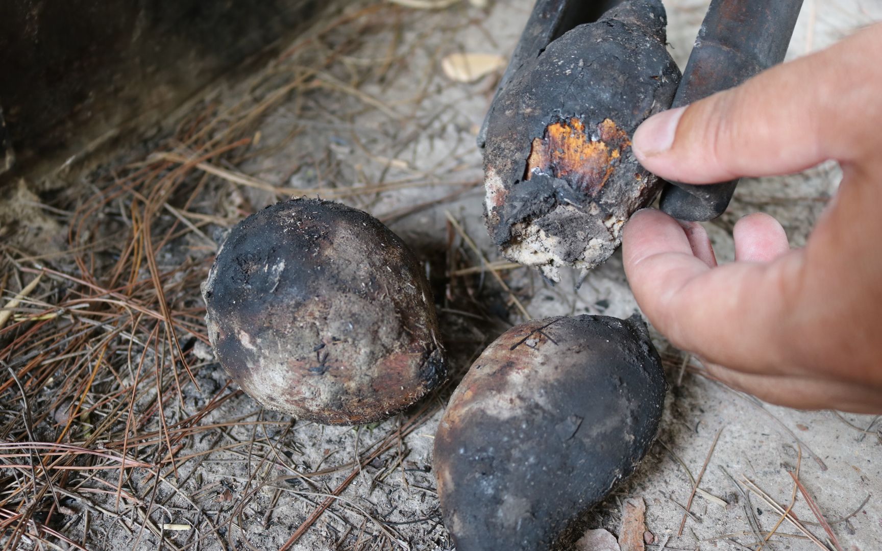 这样烤红薯最香了,外焦里嫩,一口气可以吃好几个