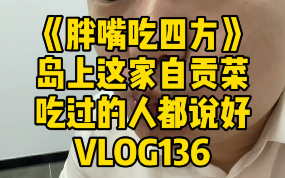 [图]《胖嘴吃四方》海口 | 喜辣的人是不是都吃过这家了 VLOG#136