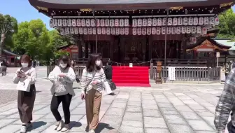 三室户寺的杜鹃花 日本京都 22 哔哩哔哩 Bilibili