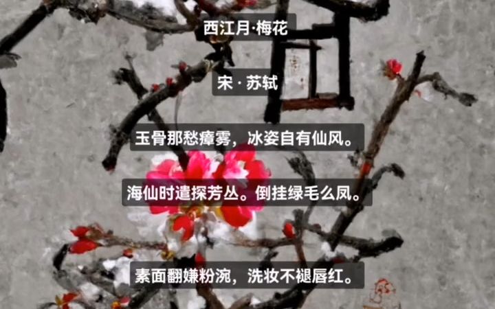 [图]《西江月.梅花》