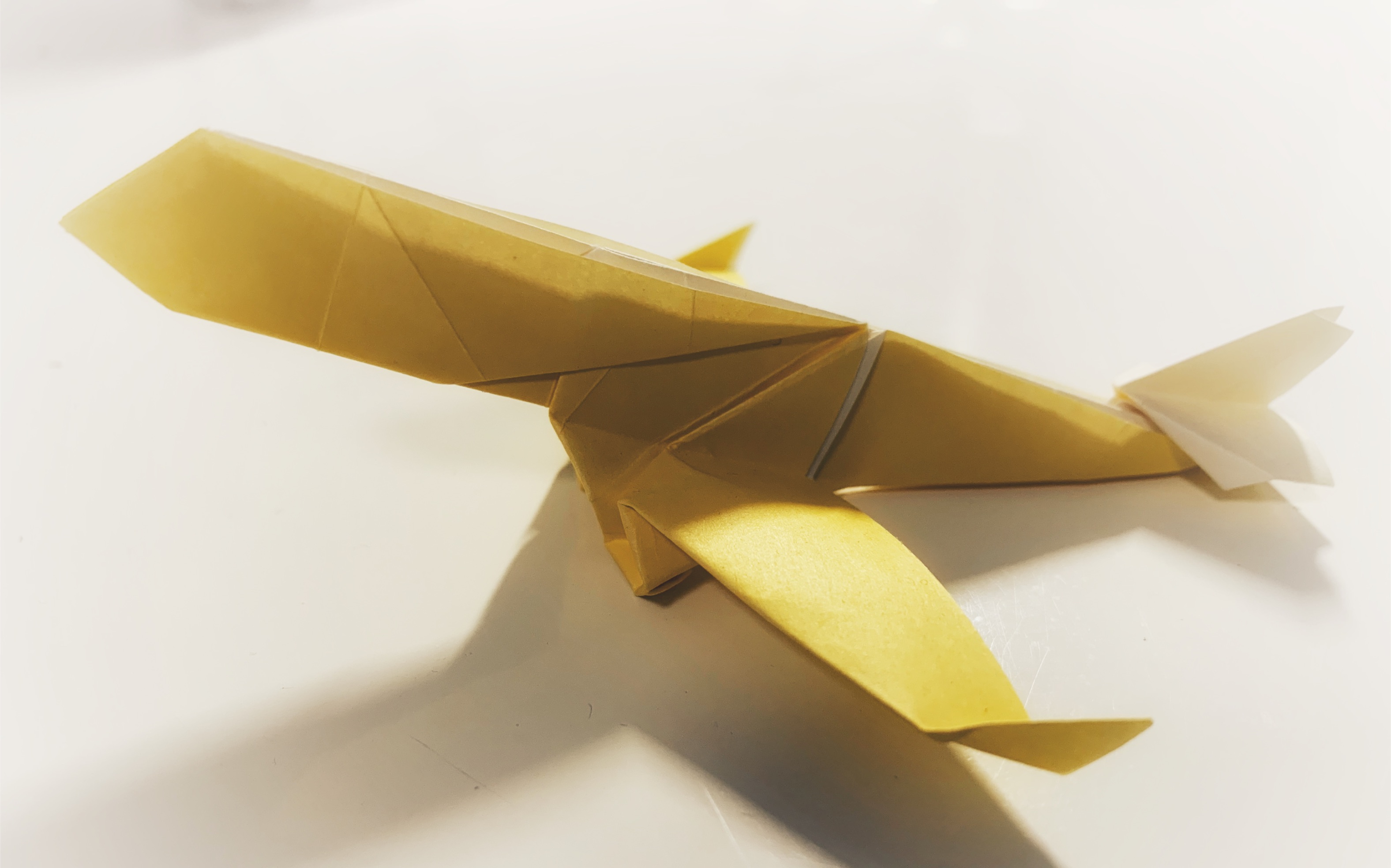 活动  【折纸-展示】 民航客机