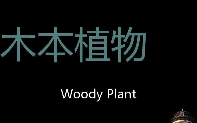 木本植物 Chinese Pronunciation Woody plant哔哩哔哩bilibili