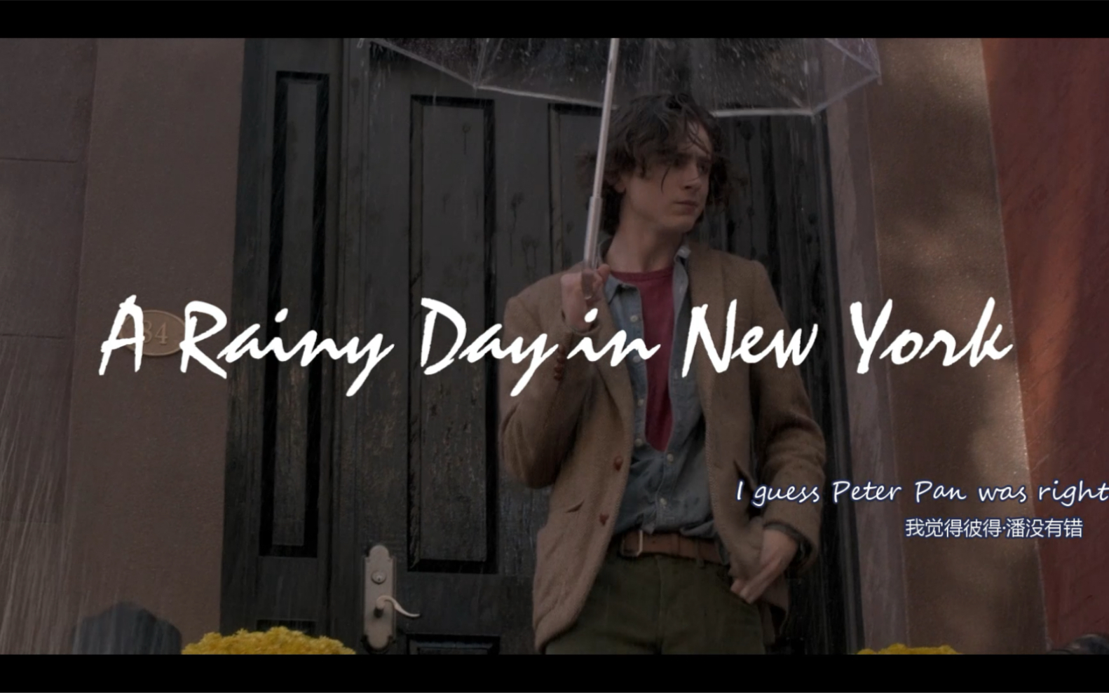 [图]A Rainy Day In New York 甜茶的一个雨天【电影剪辑】