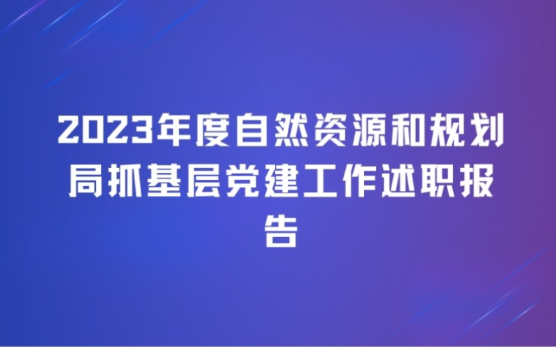 【述职报告】2023年度自然资源和规划局抓基层党建工作述职报告哔哩哔哩bilibili