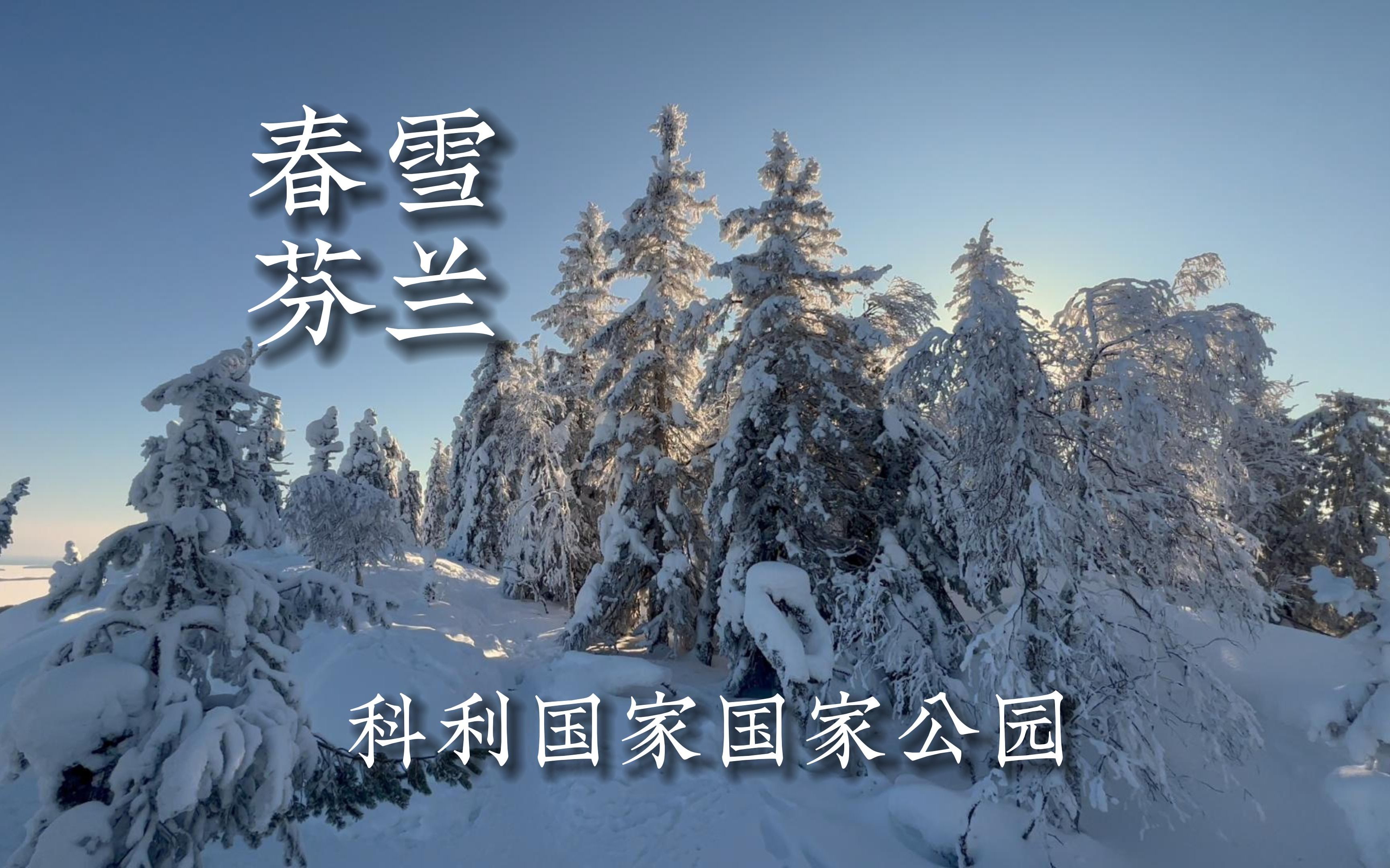 春雪后的芬兰科利国家公园「4K HDR」哔哩哔哩bilibili