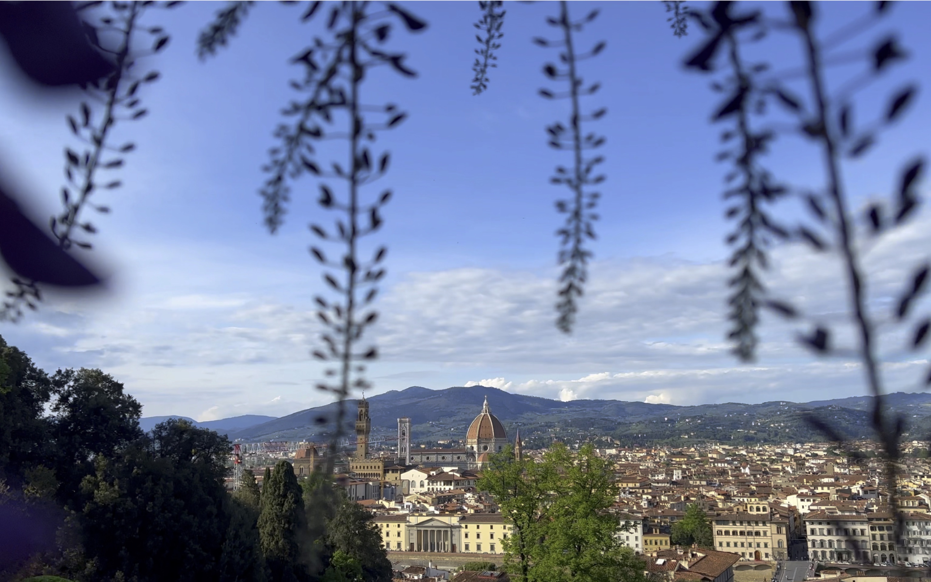 【Firenze】佛罗伦萨巴尔迪尼花园落下一场紫藤雨哔哩哔哩bilibili