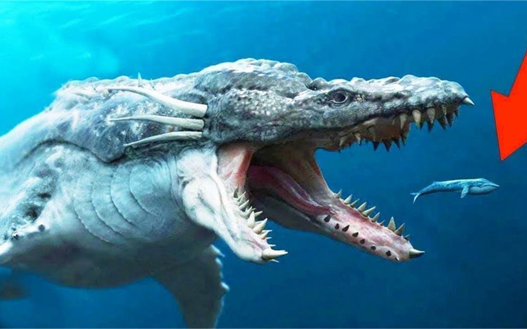 7种比巨齿鲨更恐怖的海中生物!