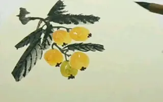 中国画枇杷 搜索结果 哔哩哔哩 Bilibili