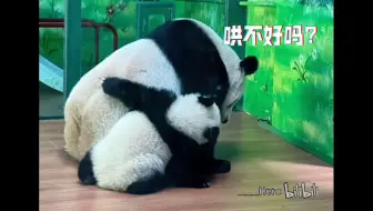 妹猪：你打我～我还要哄你～