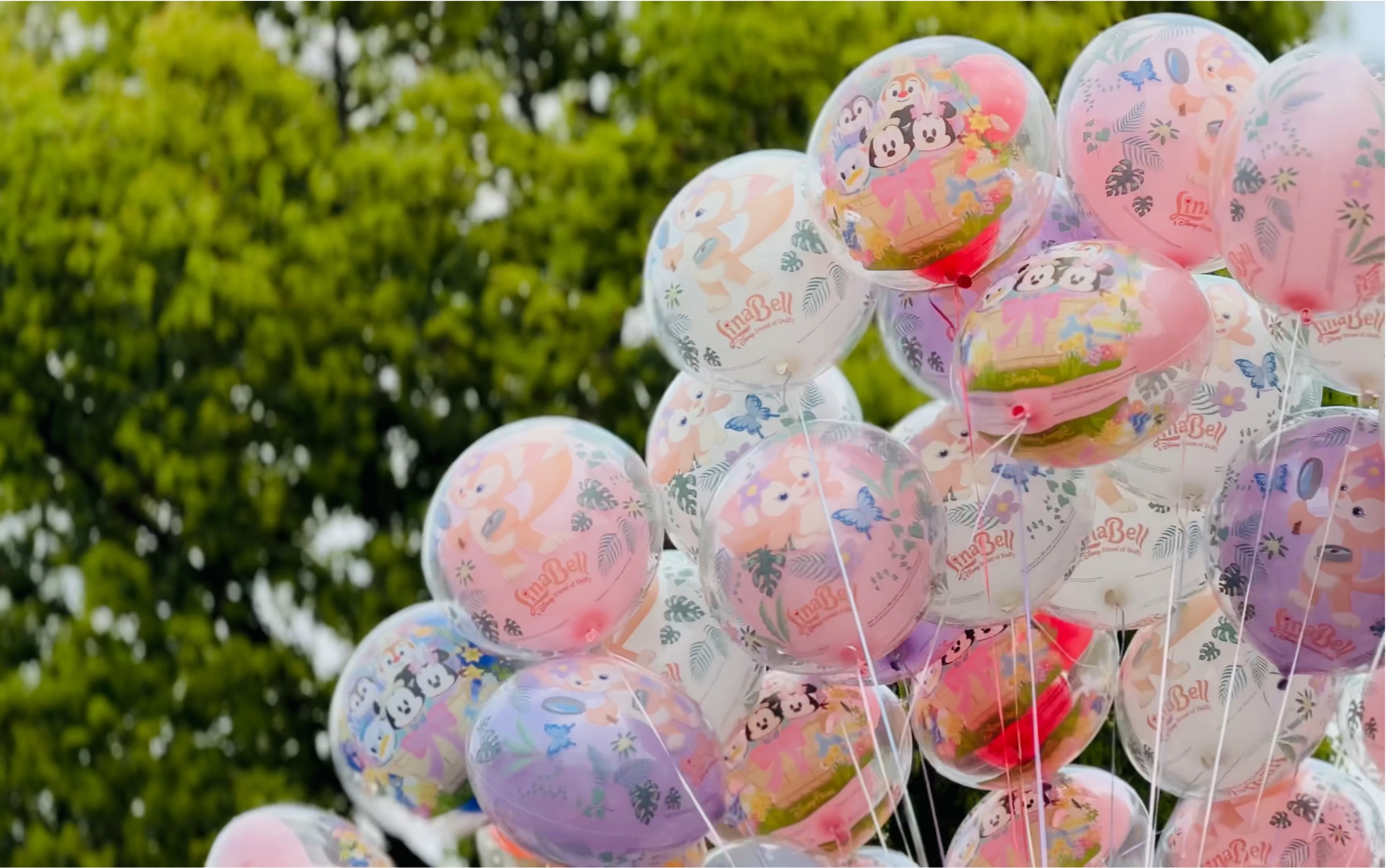 春天就该去迪士尼