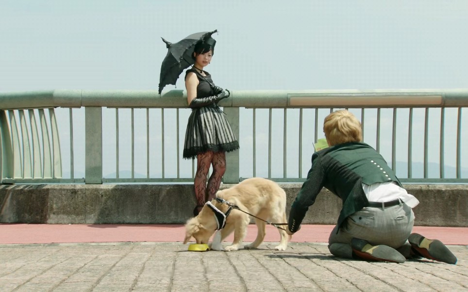 假面骑士drive看护