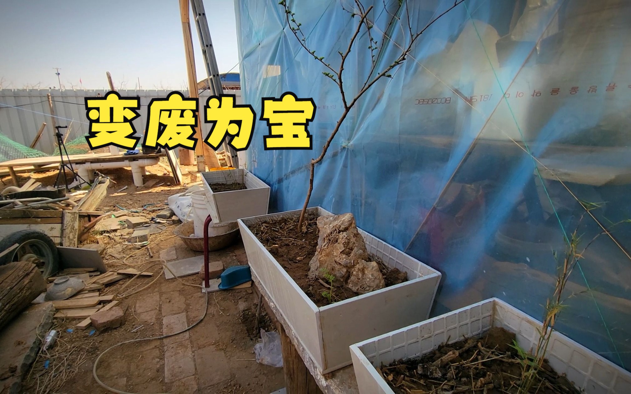 物尽其用,旧瓷砖改造花盆,实用也美观