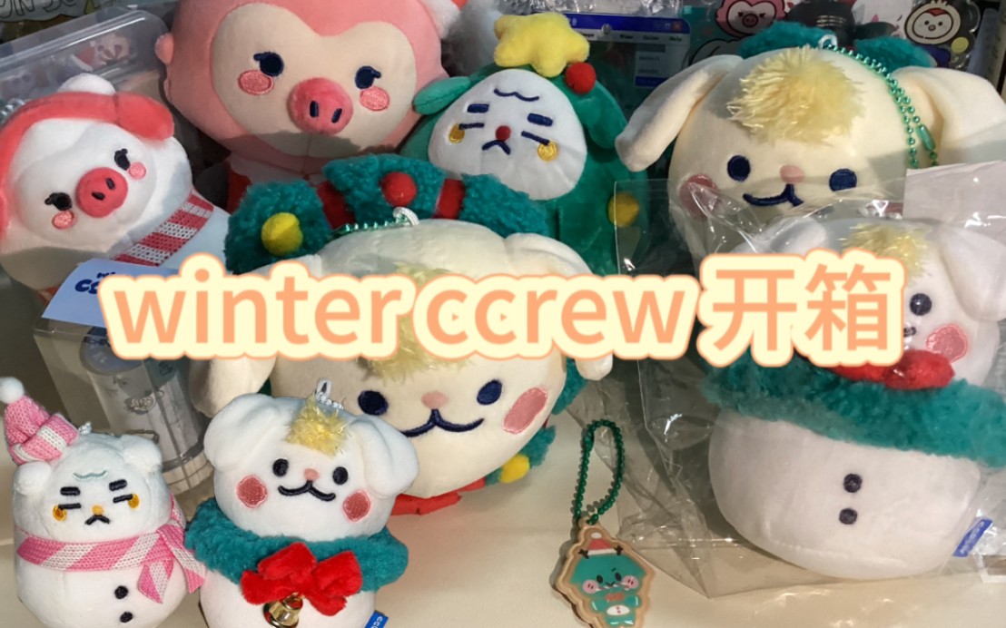 【开箱日记3】cravity/冬日快闪/winter ccrew开箱/被棉花坨子萌晕/精神状态逐渐癫狂/呜皮康懵菜狗/圣诞版ccrew雪人ccrew哔哩哔哩bilibili