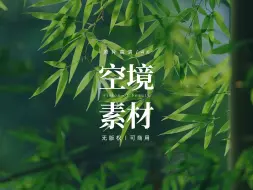 Download Video: 【免版权空镜】竹子竹叶随风飘动自然风景