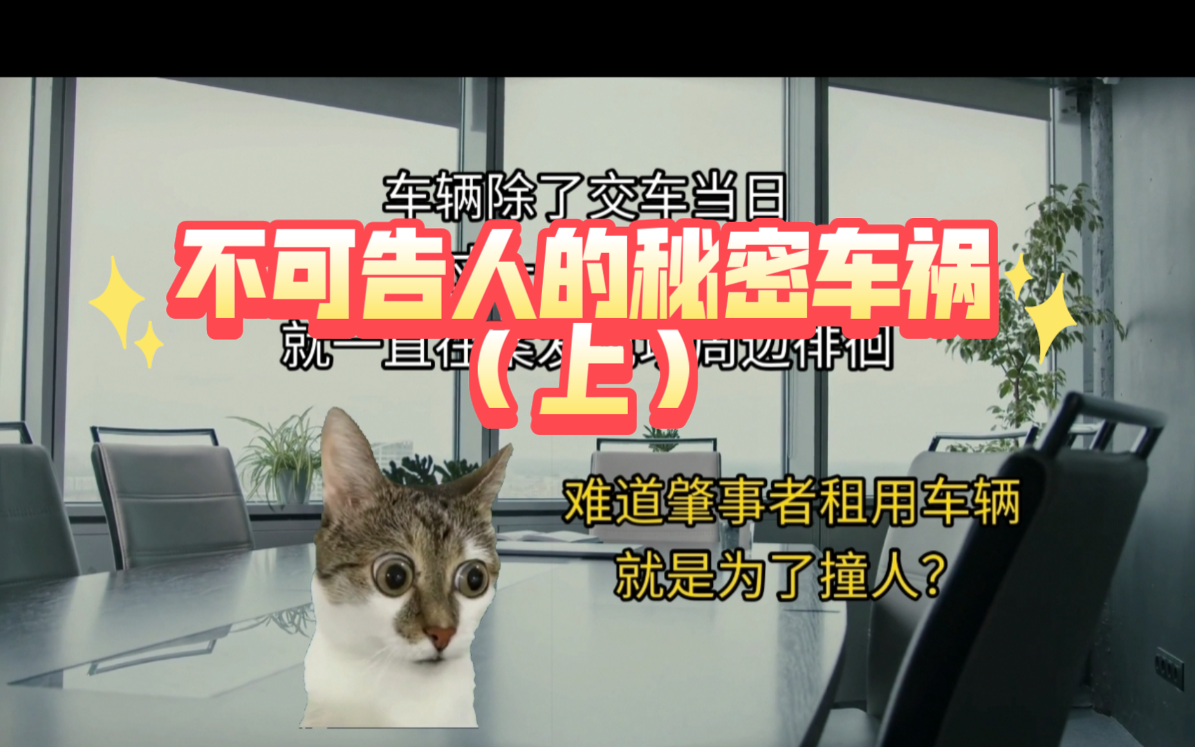 【猫meme】猫meme讲真实案件——不可告人的秘密车祸(上)哔哩哔哩bilibili