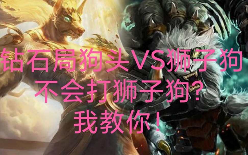 钻石局狗头vs狮子狗,不会打狮子狗?我教你